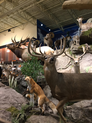 Outdoor Sports Store «Field & Stream», reviews and photos, 2075 Interchange Rd, Erie, PA 16509, USA