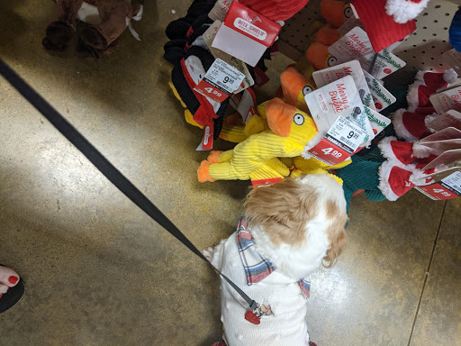 Pet Supply Store «PetSmart», reviews and photos, 4900 Rogers Ave #102a, Fort Smith, AR 72903, USA