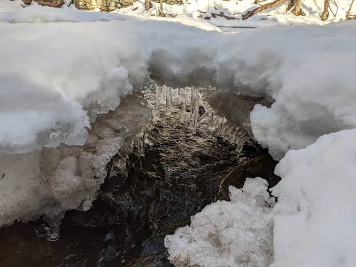 Nature Preserve «Cotton Hollow Preserve», reviews and photos, 493 Hopewell Rd, South Glastonbury, CT 06073, USA