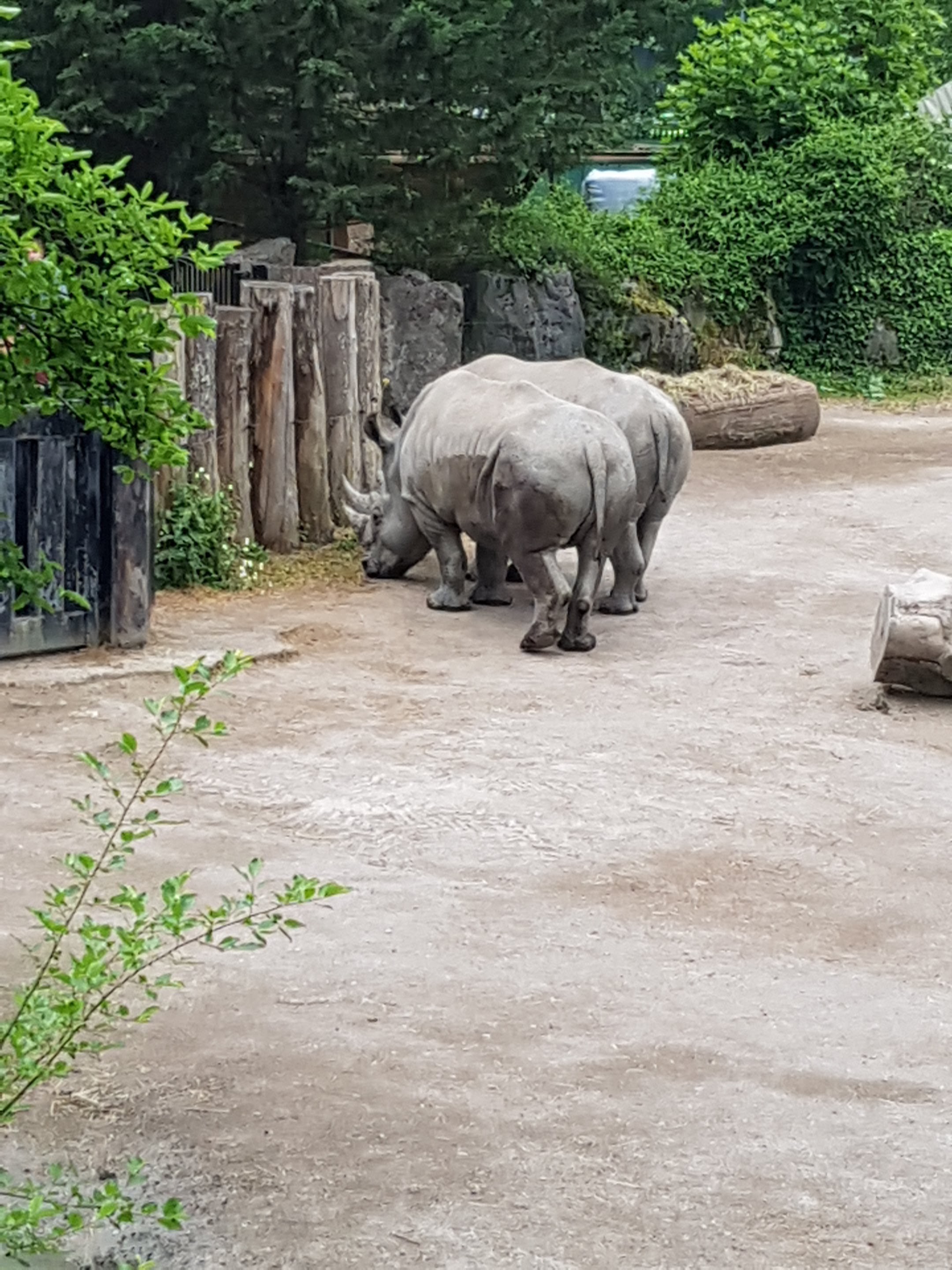 Photo n° 4 de l'avis de armede.n fait le 21/06/2018 à 12:09