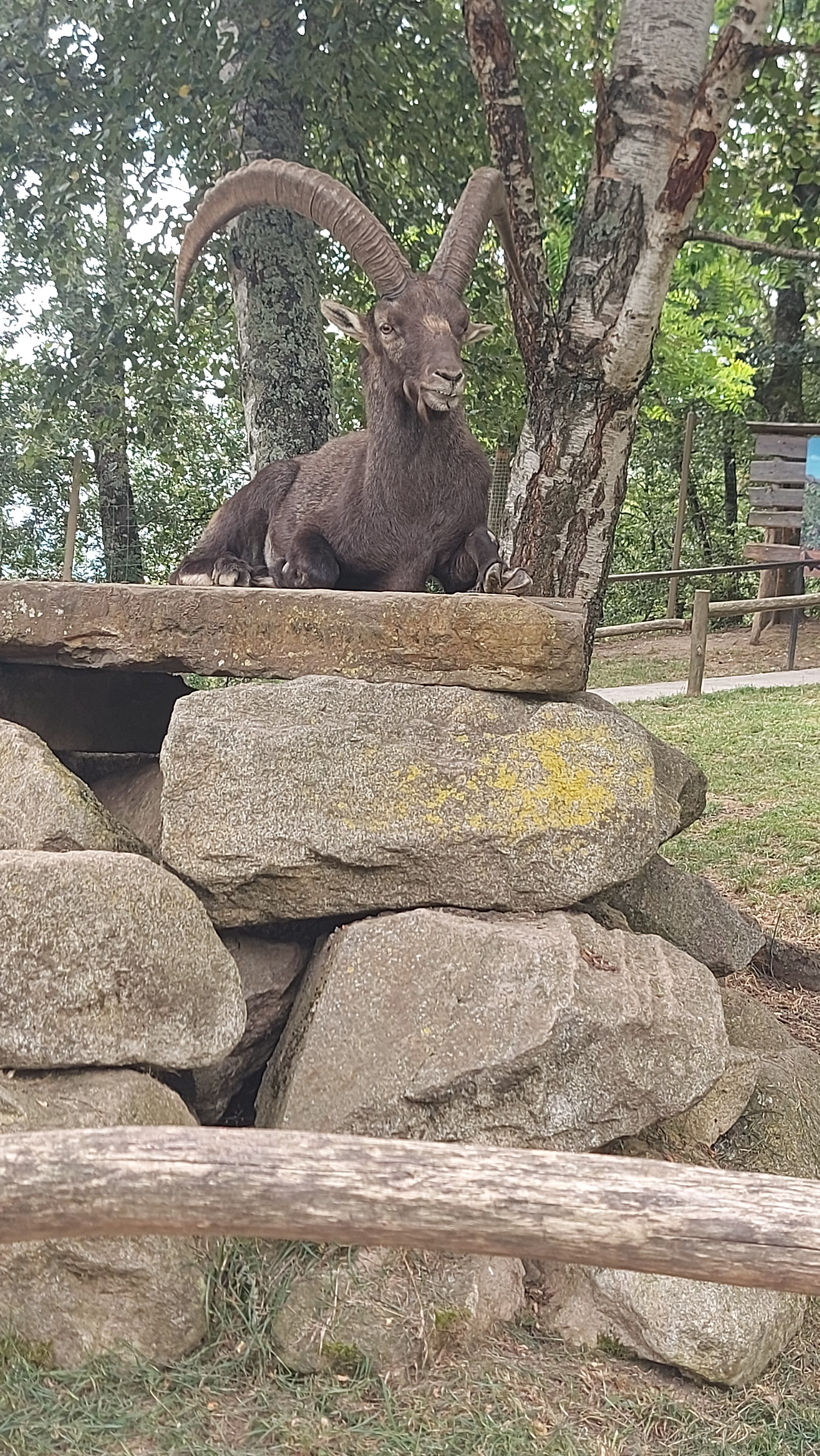 Photo n° 4 de l'avis de Jeremyb59.i fait le 05/08/2023 à 06:02