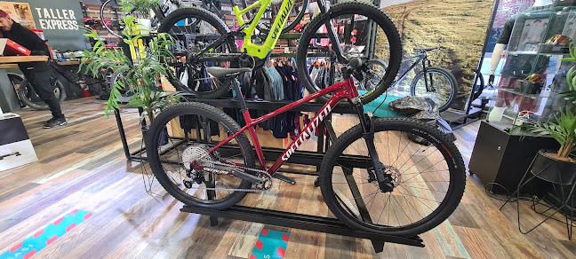 Monkey Bikes Specialized - Tienda de bicicletas