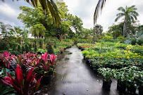 Pop's Nursery (Plants, Palms, Decorative Stones, Sand, Soil, Gravel) - Photo 5 - Car repair in Hollywood, FL, Davie