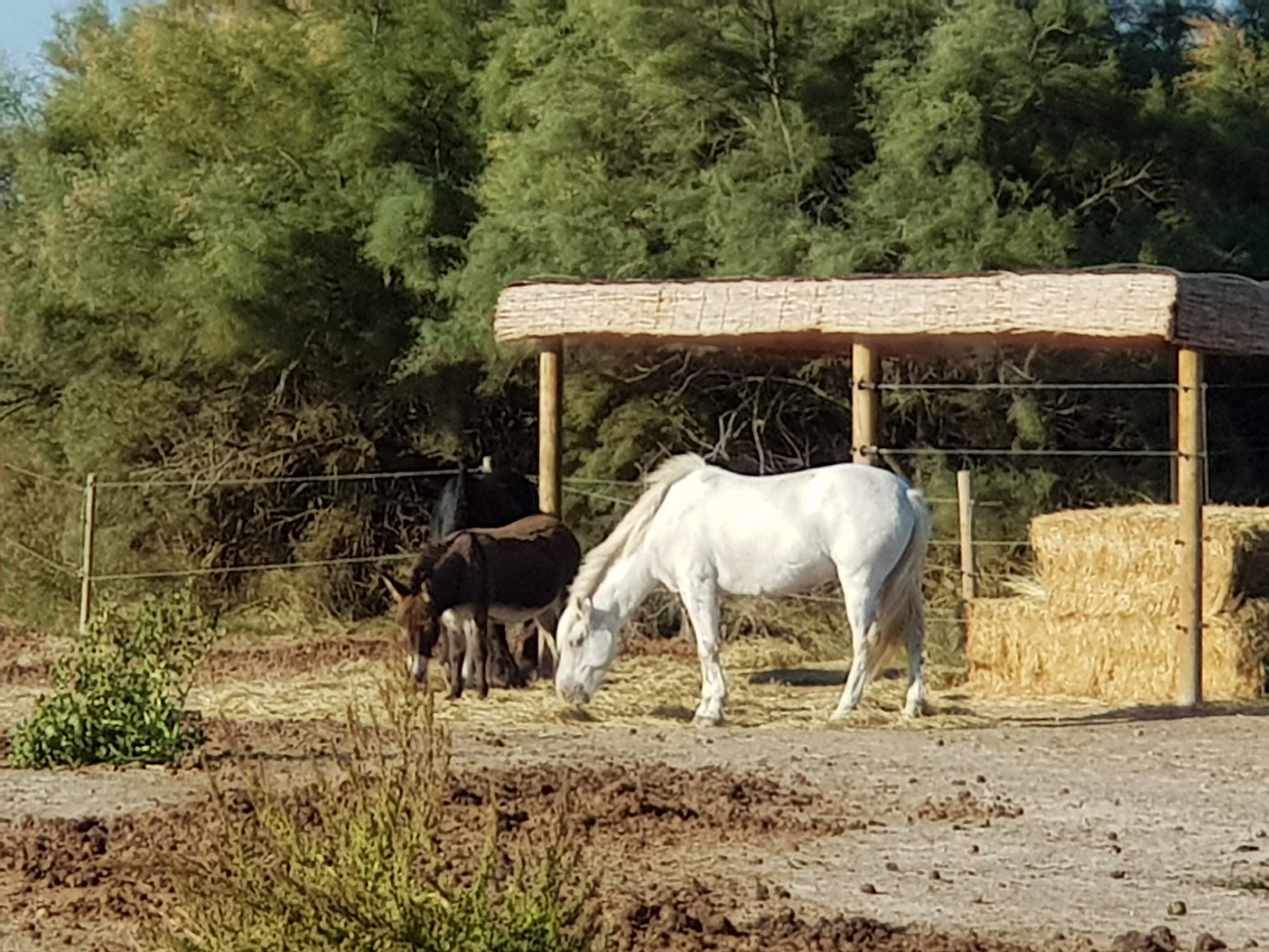 Photo n° 5 de l'avis de Hendrik.i fait le 24/09/2018 à 16:17