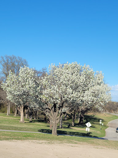 Park «White Rock Lake Park», reviews and photos, E Lawther Dr, Dallas, TX 75218, USA