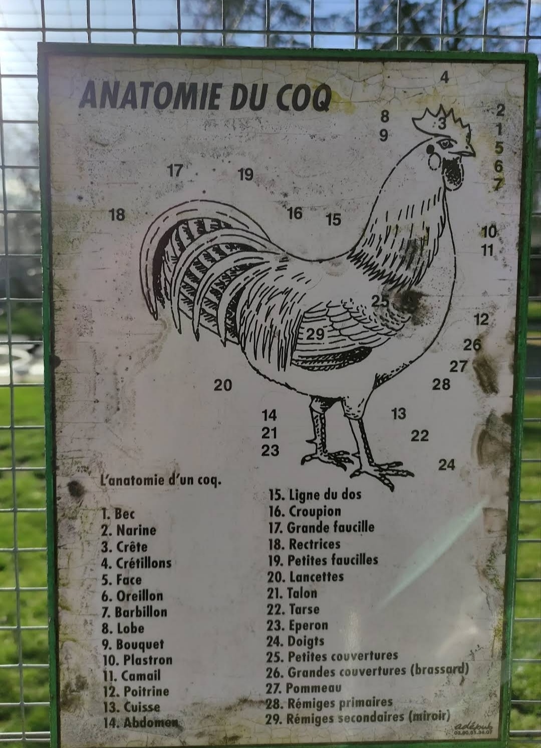 Photo n° 6 de l'avis de M-Jeanne. fait le 26/04/2023 à 22:08