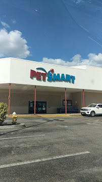 TagWorks - Photo 1 - Car repair in Clearwater, FL, Clearwater