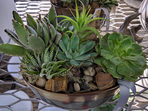 Florist «King florist of Austin», reviews and photos, 1806 W Koenig Ln, Austin, TX 78756, USA