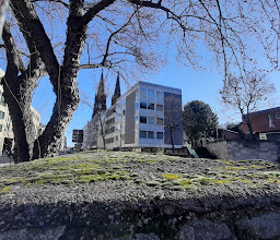 Lysophsturm photo