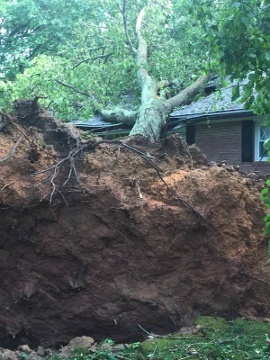 Insurance Agency «Dottrio, LLC - Public Adjusters - Insurance Appraisers», reviews and photos