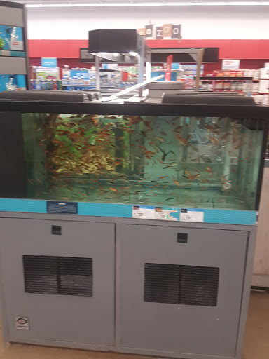 Pet Supply Store «Petco Animal Supplies», reviews and photos, 1660 Orchard Gateway Blvd, North Aurora, IL 60542, USA