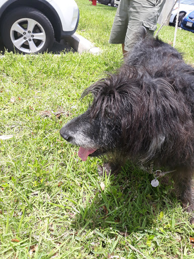 Shopping Mall «12th St Plaza», reviews and photos, 1275 US-1, Vero Beach, FL 32960, USA