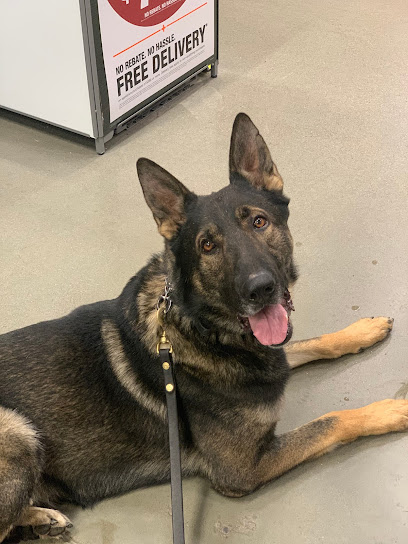 AF1QipM_XAcMPCIGeLPvETADMQOP5-hBxOj21HckRaC3=w408-h544-k-no