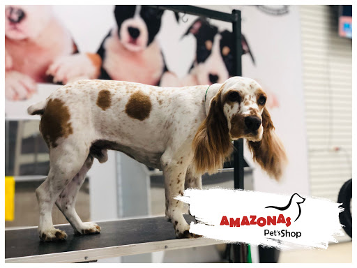 Dog grooming courses Arequipa