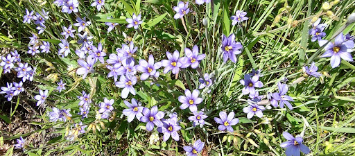 Hiking Area «Black Point Trailhead», reviews and photos, 655 Ocean Rd, Narragansett, RI 02882, USA