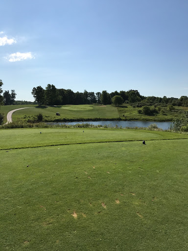 Golf Club «Quail Ridge Golf Club», reviews and photos, 8375 36th St SE, Ada, MI 49301, USA