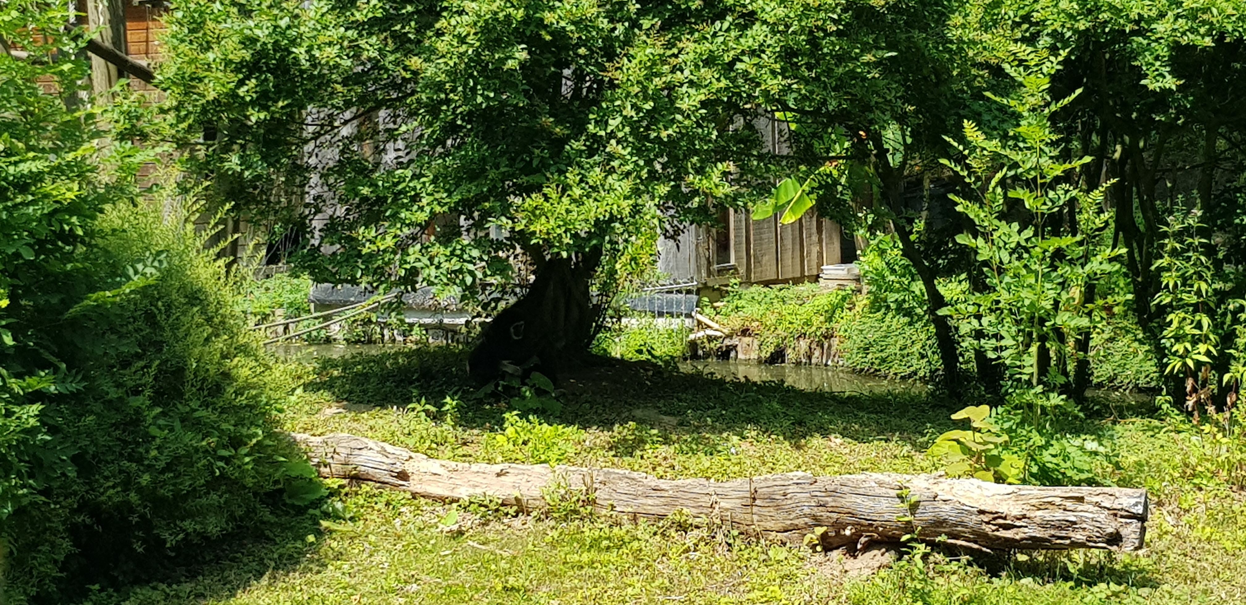 Photo n° 20 de l'avis de Nuk3d.t fait le 13/10/2019 à 18:58