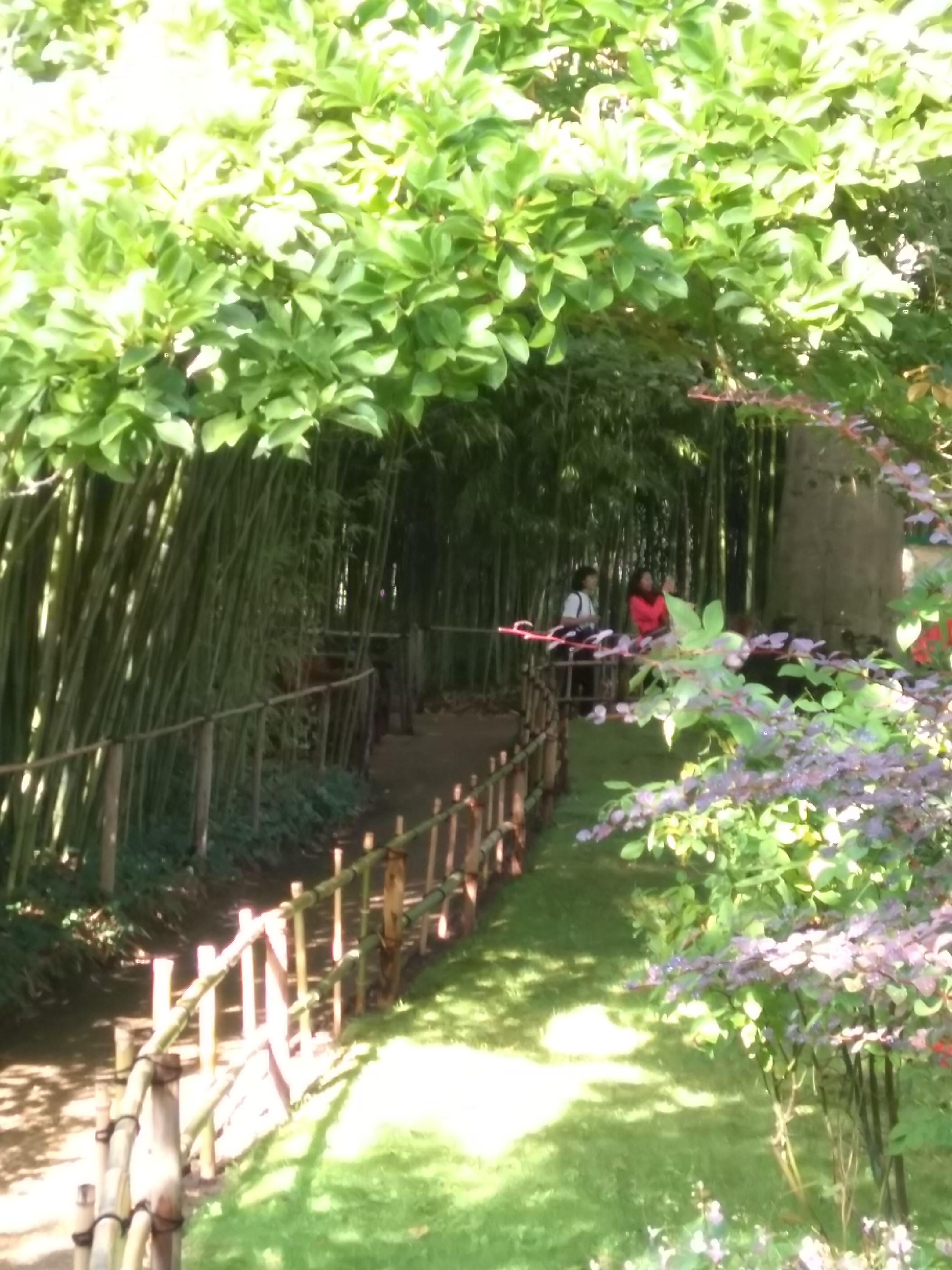 Photo n° 8 de l'avis de Emmanuel.o fait le 14/09/2019 à 14:20