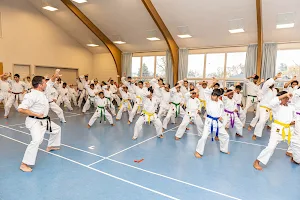 Scarborough Academy of Karate image