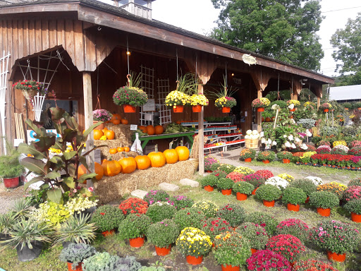 Produce Market «The Bigsby Market», reviews and photos, 1418 Dryden Rd, Freeville, NY 13068, USA