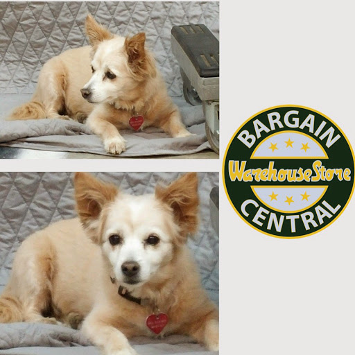 Thrift Store «Bargain Central Warehouse», reviews and photos, 251 N Morris, Mesa, AZ 85201, USA