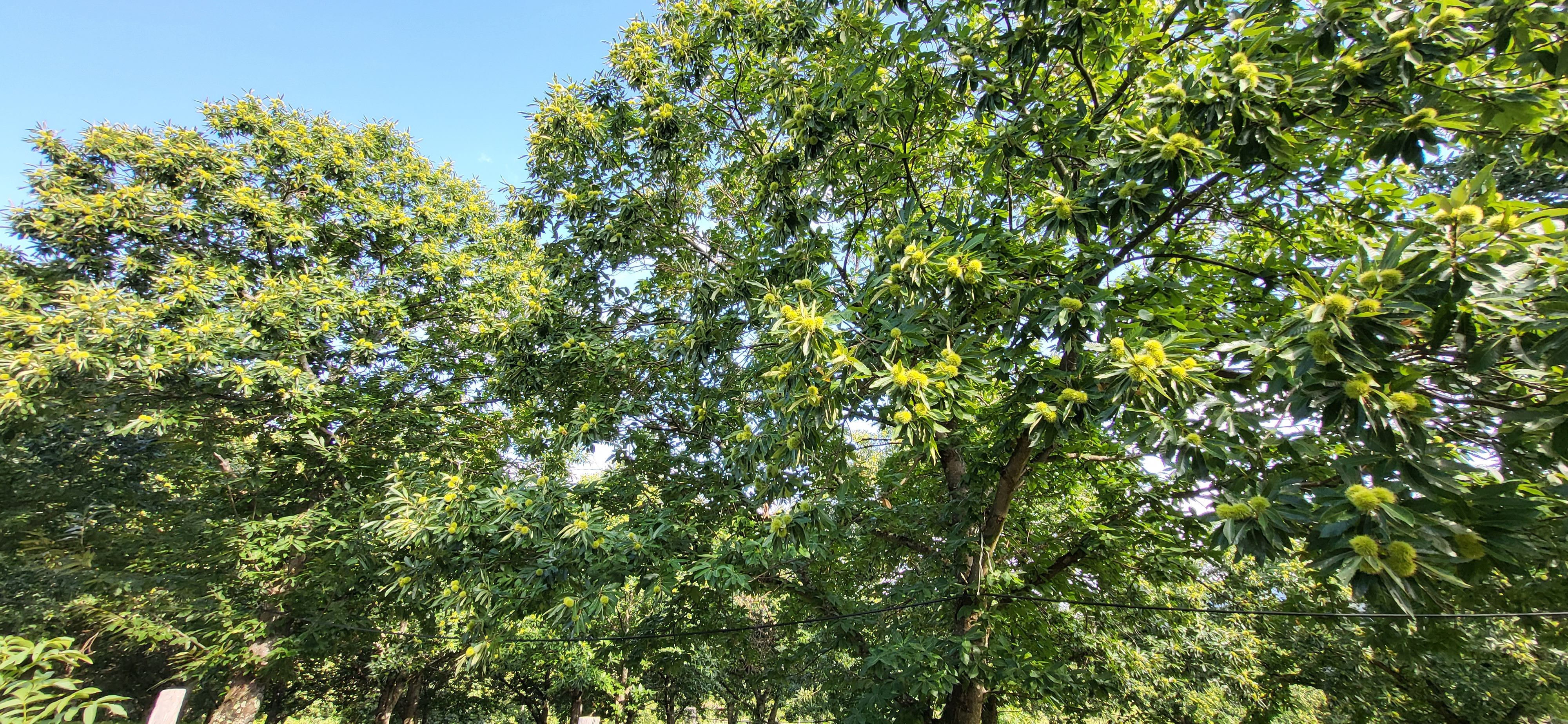 Photo n° 1 de l'avis de helene.r fait le 27/08/2022 à 06:33