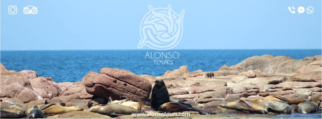 Alonso Tours