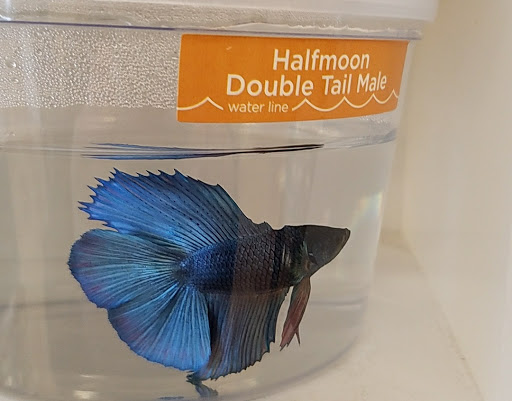 Pet Supply Store «Petco Animal Supplies», reviews and photos, 2242 N Richmond Rd, McHenry, IL 60051, USA