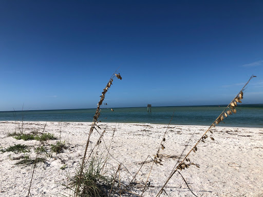 Boat Tour Agency «Good Time Charters», reviews and photos, 4765 Estero Blvd, Fort Myers Beach, FL 33931, USA