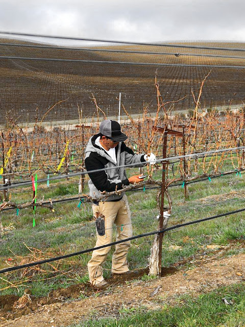 Vineyard Industry Products Co