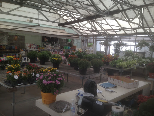 Florist «Pletschers», reviews and photos, 641 Old Hwy 8 SW, New Brighton, MN 55112, USA