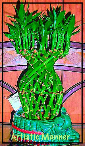 Florist «Artistic Manner Flower Shop & Greenhouse», reviews and photos, 211 Wolfs Ln, Pelham, NY 10803, USA