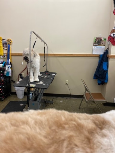 Pet Supply Store «Pet Supplies Plus», reviews and photos, 720 Hoosick Rd, Troy, NY 12180, USA