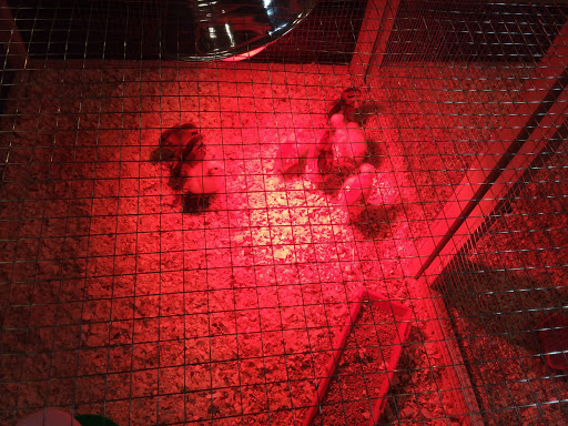 Pet Supply Store «A S Labieniec», reviews and photos, 945 Farmington Ave, Berlin, CT 06037, USA