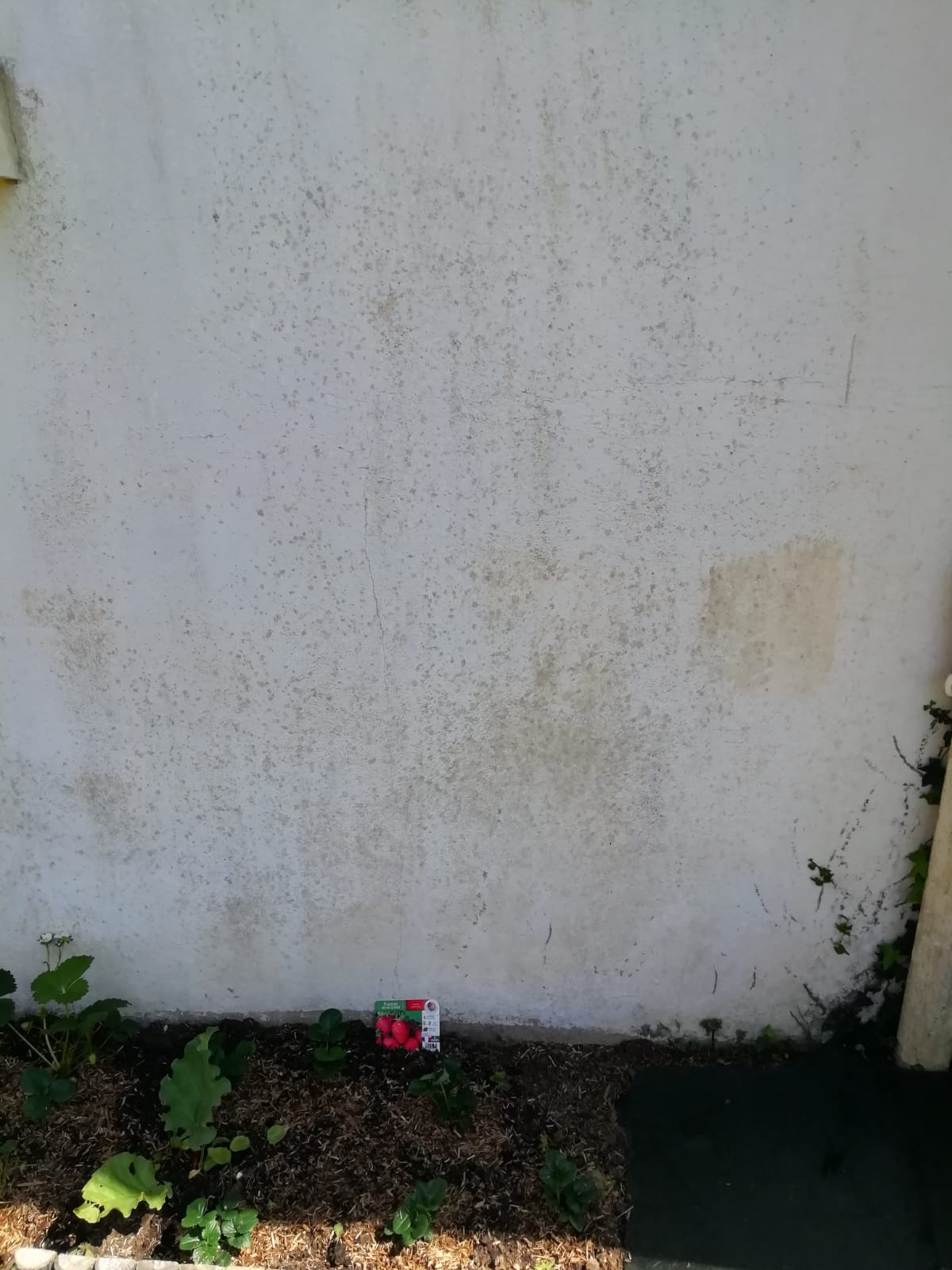 Photo n° 2 de l'avis de Camilous. fait le 19/05/2023 à 21:32