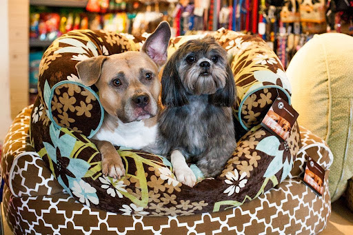 Pet Supply Store «The Whole Dog Market», reviews and photos, 3300 Cobb Pkwy #108, Atlanta, GA 30339, USA