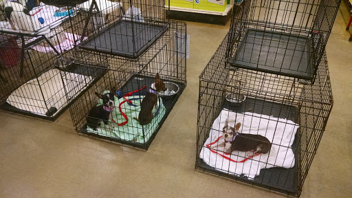 Pet Supply Store «PetSmart», reviews and photos, 3736 SW Archer Rd, Gainesville, FL 32608, USA