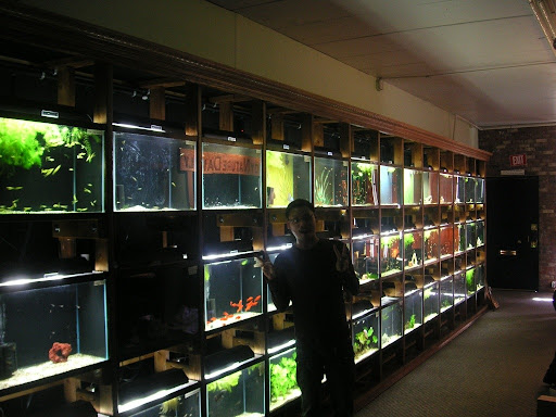 Tropical Fish Store «Aquarium Co-Op», reviews and photos, 9661 Firdale Ave, Edmonds, WA 98020, USA