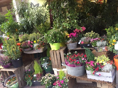 Exubérance Florale à Bourgoin-Jallieu