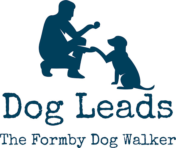 Reviews of Dog Leads. The Formby Dog Walker in Liverpool - Dog trainer