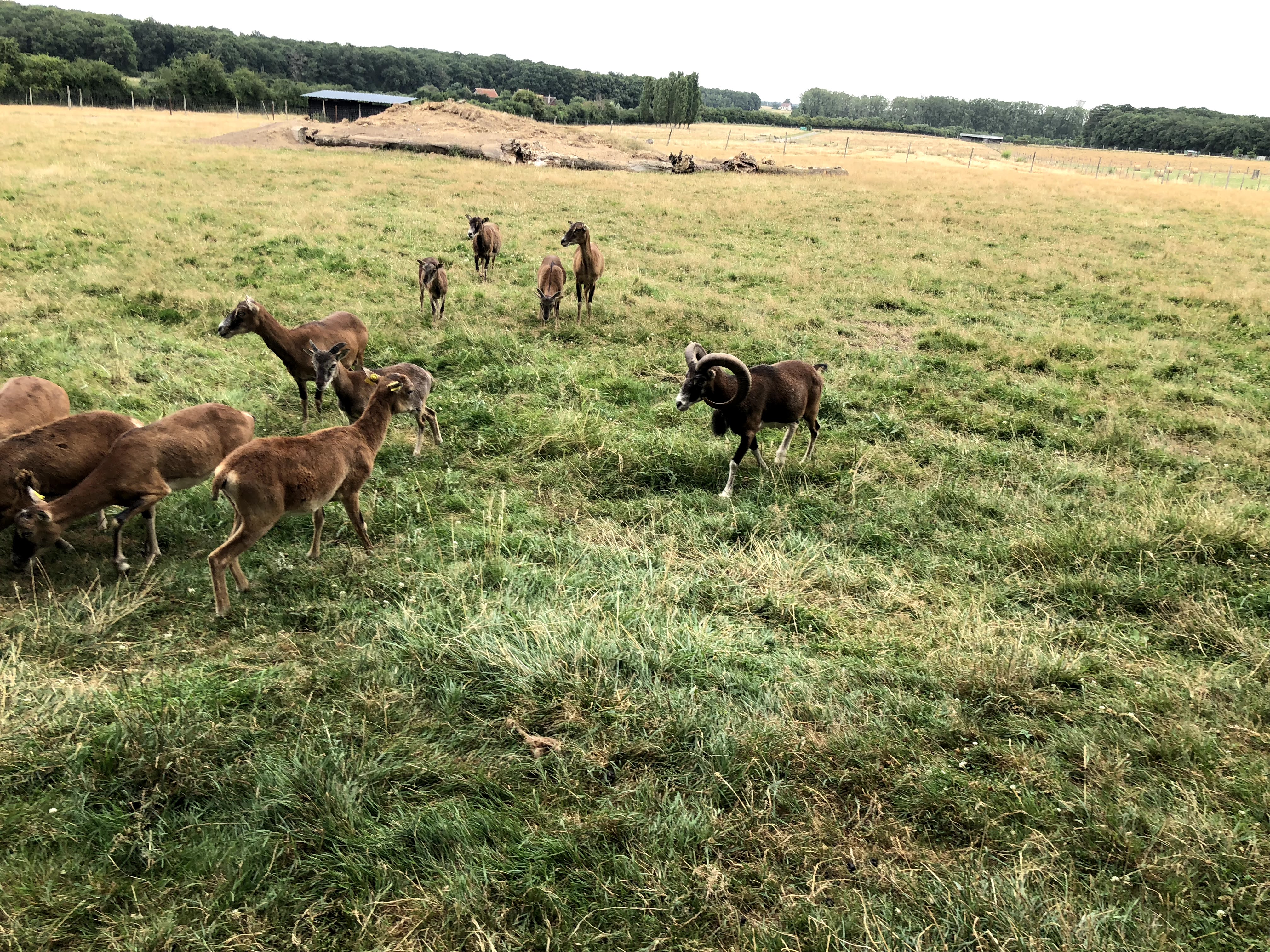 Photo n° 40 de l'avis de Julien.o fait le 27/07/2018 à 17:41