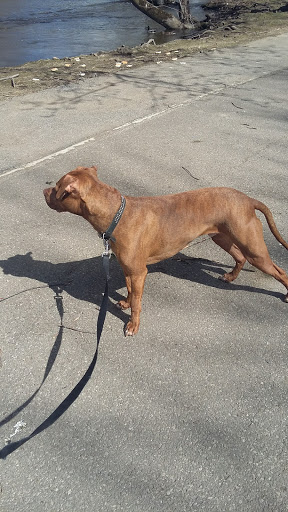 Public Swimming Pool «Water Works Family Aquatic Center», reviews and photos, 2025 Munroe Falls Ave, Cuyahoga Falls, OH 44221, USA