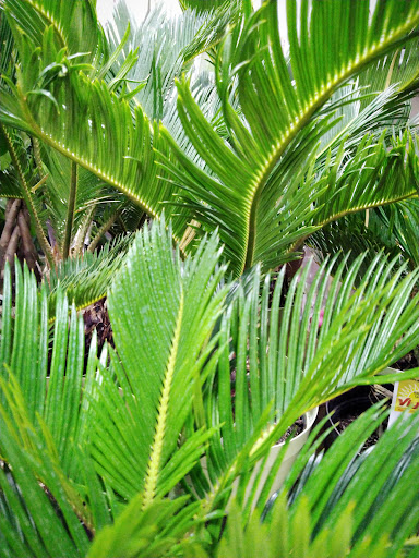 Home Improvement Store «The Home Depot», reviews and photos, 244 US-202, Flemington, NJ 08822, USA