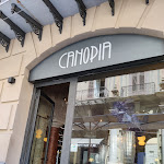 Photo n°1 de l'avis de MEMENTO.0 fait le 31/07/2022 à 11:41 sur le  Canopia Giungla Urbana à Palermo