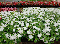 SiteOne Landscape Supply - Photo 6 - Car repair in Arlington, TX, Arlington