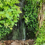 Photo n°6 de l'avis de Andy. fait le 14/12/2022 à 17:54 sur le  Hotel Forsthaus Auerhahn à Baiersbronn