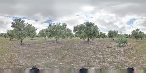 Tourist Attraction «The Bella Vista Ranch / First Texas Olive Oil Co.», reviews and photos, 3101 Mt Sharp Rd, Wimberley, TX 78676, USA