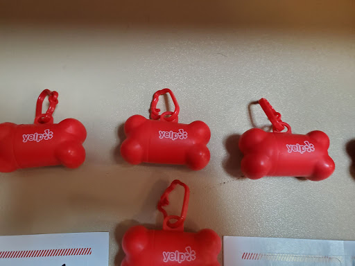 Animal Protection Organization «Charleston Animal Society», reviews and photos