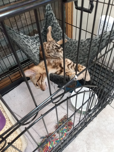 Pet Store «Animal Ark Pet Stores», reviews and photos, 33 Center St, Orem, UT 84057, USA