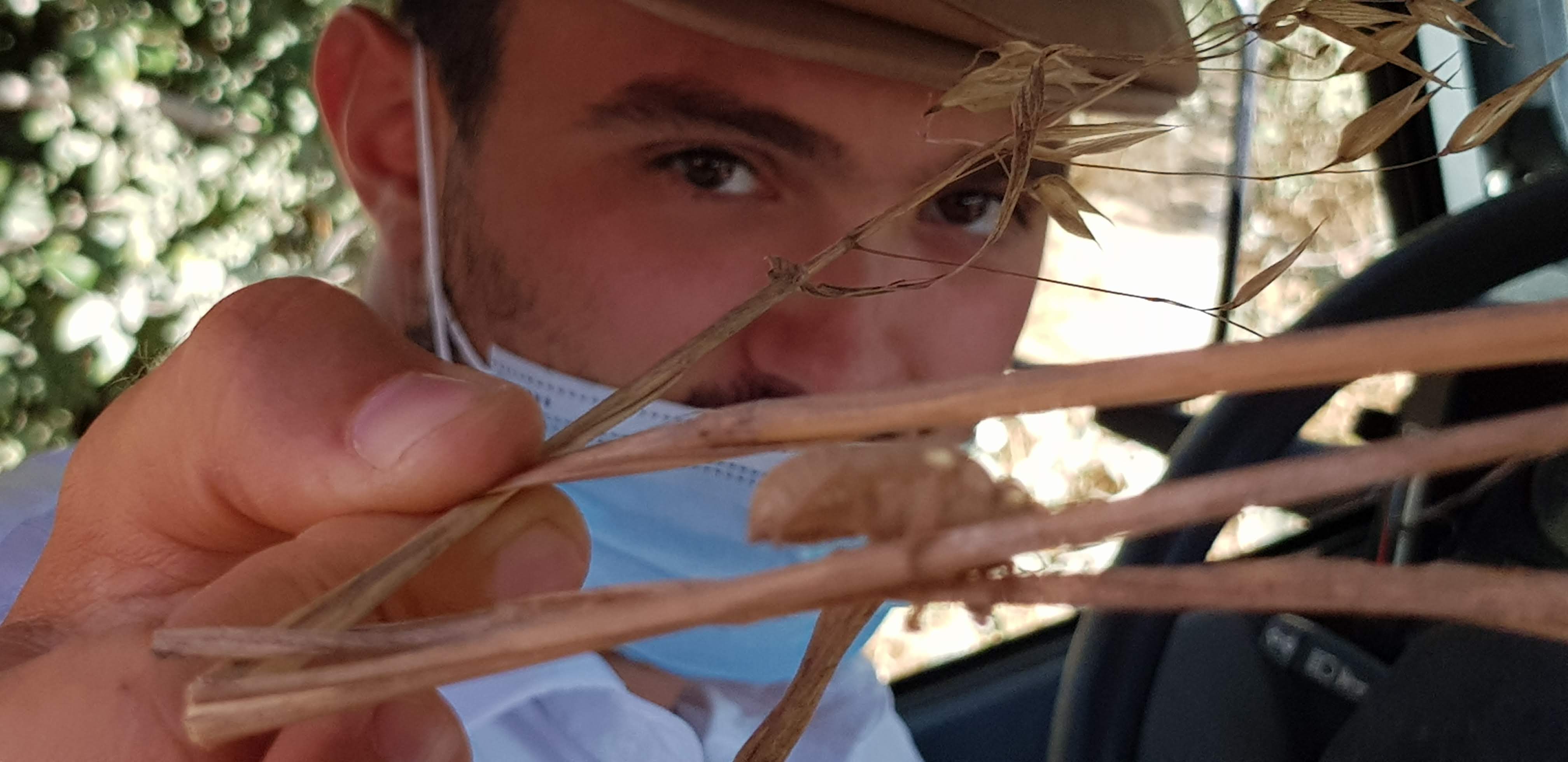 Photo n° 6 de l'avis de Jean-luc.i fait le 29/08/2020 à 09:16